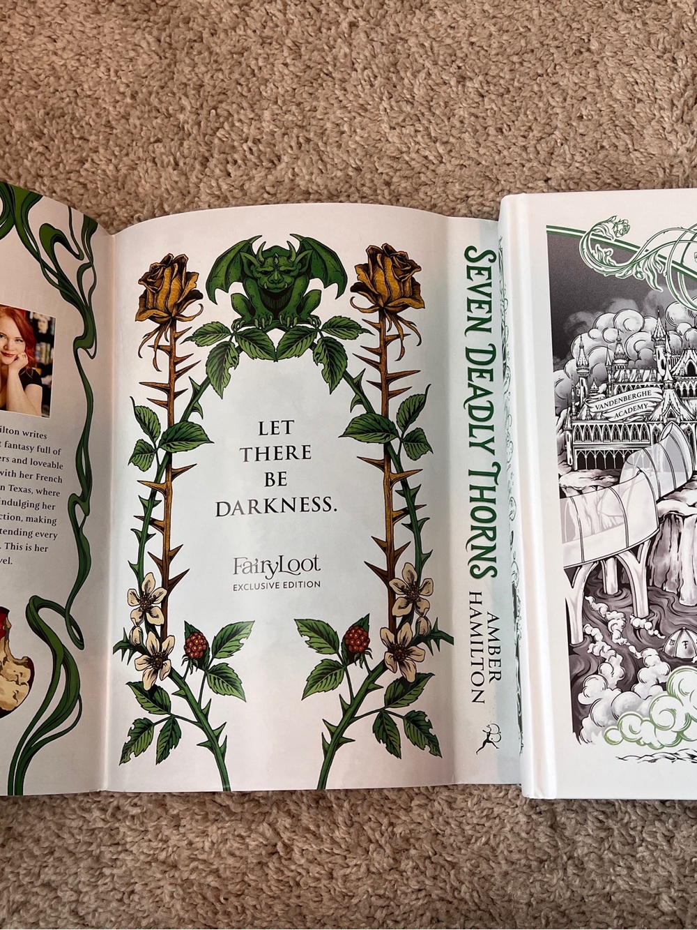Seven Deadly Thorns fairyloot special edition book by Amber Hamilton - Picture 4 of 7